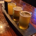 Exploring the Award-Winning Breweries of Broward County, Florida