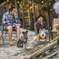 Dog-Friendly Breweries in Broward County, Florida: A Guide for Pet Owners